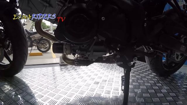 SUZUKI SV 650X 2021 || REVIEW EN ESPAÑOL + FICHA TÉCNICA + PRECIO + VELOCIDAD MÁXIMA смотреть онлайн