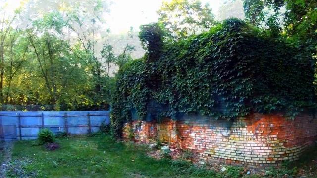 Футаж Заброшенный Дом Покрытый Плющом. Заросший Дом. Футаж Плющ на Стенах. Футажи для видеомонтажа смотреть онлайн