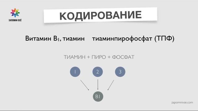 Как запоминать сложные названия? / Запоминание медицинских терминов смотреть онлайн