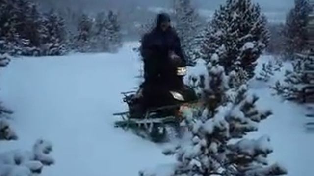 MАЛАМУТ 2 смотреть онлайн