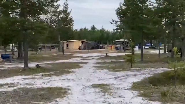 Что где и как , жизнь на стойбище смотреть онлайн