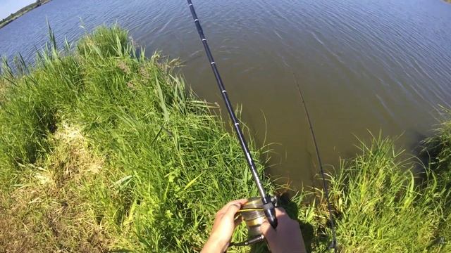 Карп Пилява 30,05.18 смотреть онлайн