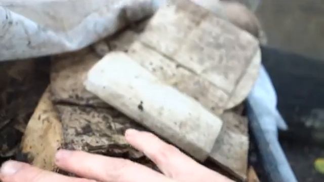 Продажа ЧЕРВЯ! Как подготавливать ЧЕРВЯ ДЛЯ ПРОДАЖИ! ИТОГ! смотреть онлайн