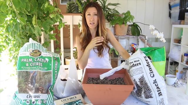 DIY Succulent & Cactus Potting Soil смотреть онлайн