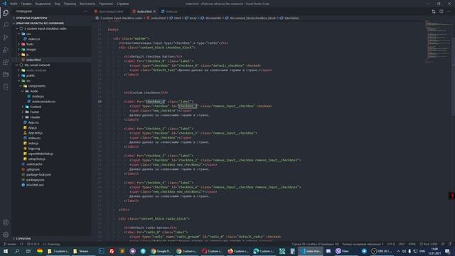 Стилизация input(custom input) type="radio", type="checkbox" смотреть онлайн