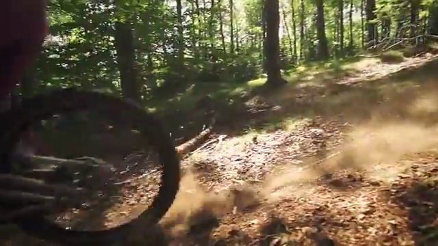 Женский даунхилл Linda Paluc Up on the hill смотреть онлайн