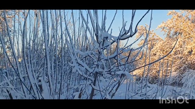Взрослые иногда нуждаются в сказке даже больше, чем дети. #сказка #волшебство смотреть онлайн