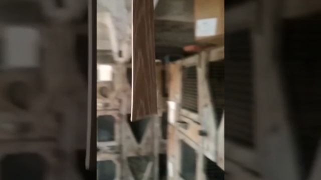 АГИТА лучшее средство от мух в помещении .