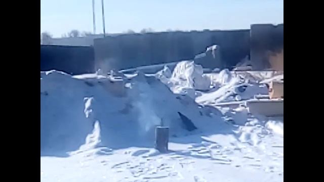 Дихлофос и полено смотреть онлайн