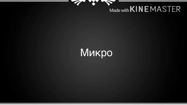 Асмр купили микро норм смотреть онлайн