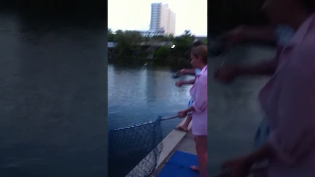 2. Платная рыбалка в Паттайе на сомов. смотреть онлайн