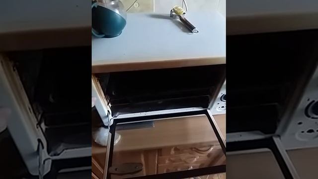 Газовая плита Брест как зажечь духовку и почему она гаснет или не загорается.для чего красная кнопк смотреть онлайн