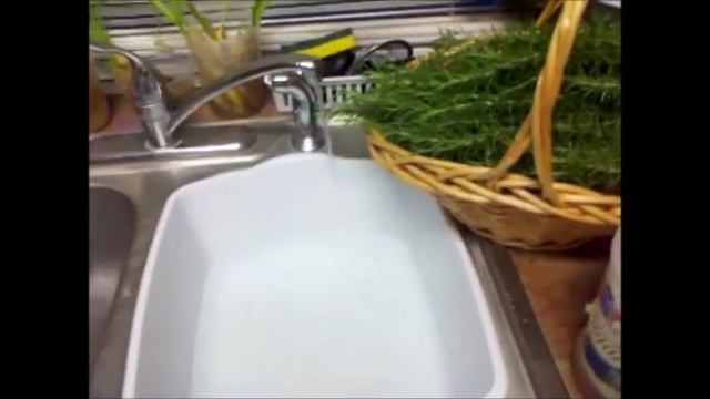 Harvesting and Storing Fresh Rosemary for long term food storage смотреть онлайн