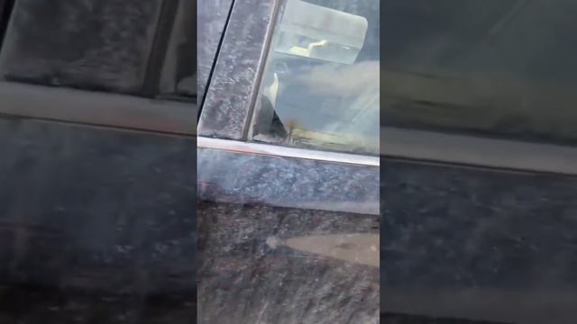 MITSUBISHI OUTLANDER. Дубай. Прошла растаможку в Армении и едет в Самару. Обзор есть на канале смотреть онлайн