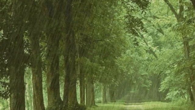 Стихи Галины Воленберг. смотреть онлайн