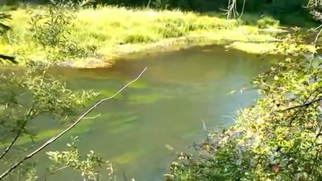 Косой брод на речке в долине Матильда | El vado oblicuo sobre el río en el valle de Matilda смотреть онлайн