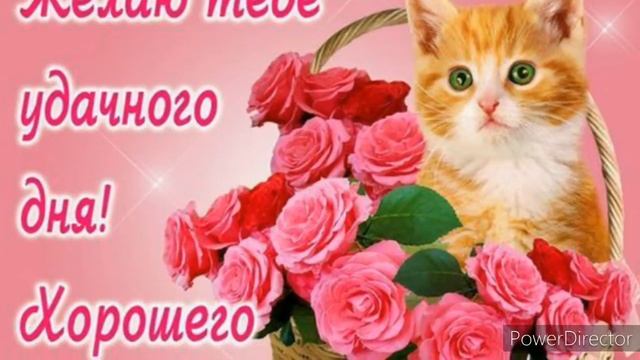 Желаю доброго осеннего утра! смотреть онлайн