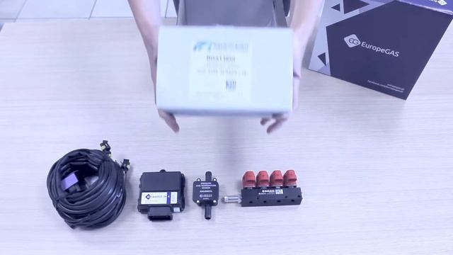 ГБО Мини Кит EG BASICO 24. 4 цилиндра (комплектация) смотреть онлайн