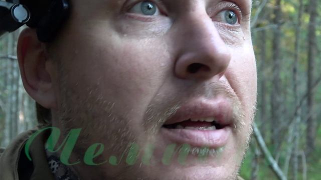 Охота на рябчика #33 Золотая осень, классика охоты смотреть онлайн