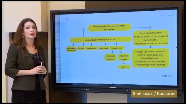“Dərs vaxtı”: 8-ci sinif dərsləri ( rus bölməsi) (05.02.2021) смотреть онлайн