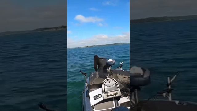 FISHING ROD VS TROLLING MOTOR, IT SNAPPED!!? смотреть онлайн