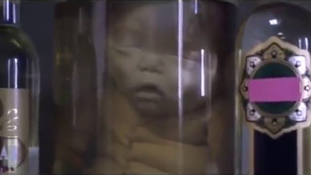 Обращение профессора СВФУ Карла Башарина народу Якутии смотреть онлайн