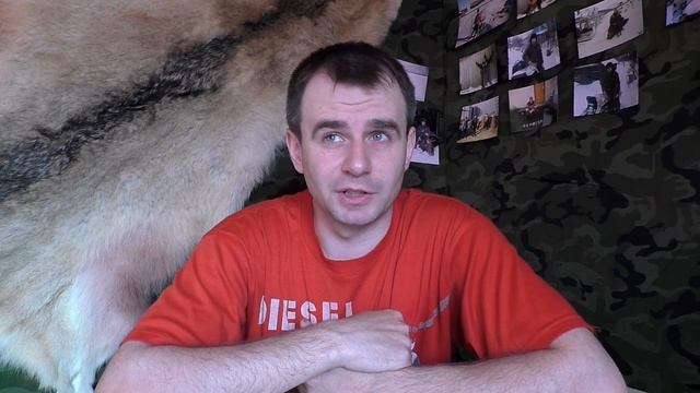 Лицензия на лося 2019! смотреть онлайн