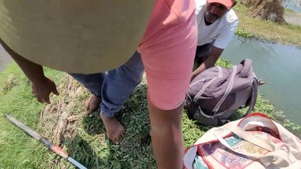 Big Fishes hunting & Catching by Professional Fisherman|Unbelievable Hook fishing video