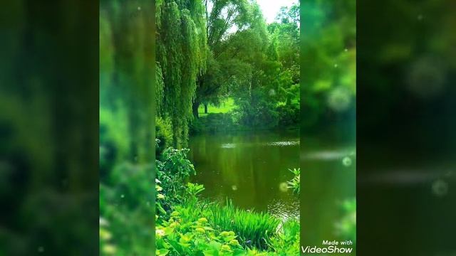 СИЛА МЫСЛИ! #аффирмация #верасиламысли#намерения #медитация #гармония #безграничныйразум смотреть онлайн