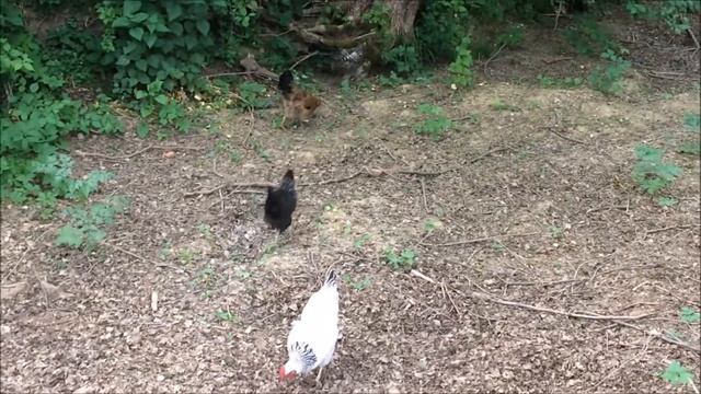 Секреты Красоты