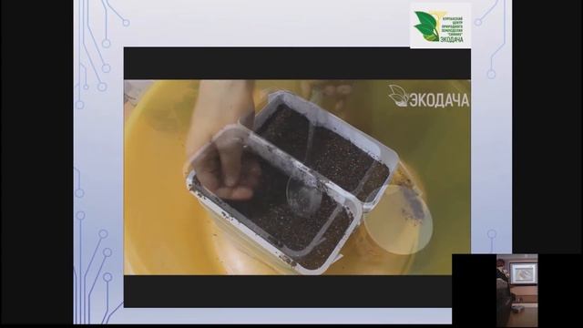 Урожаи 2018. Лучшие семена. Лук -порей. смотреть онлайн