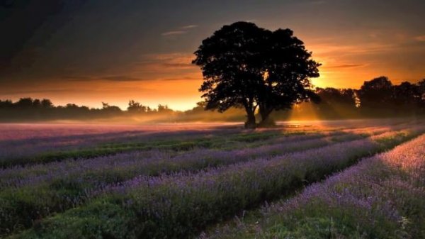 Historia De Un Amor: Antonio Gillo Composer - Chillout Remix (2008)