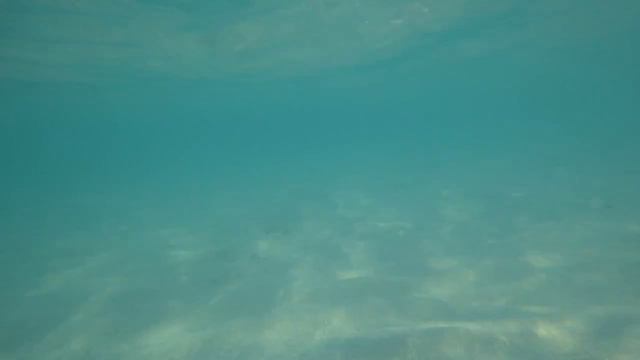 Maldives, Furaveri island resort and spa смотреть онлайн