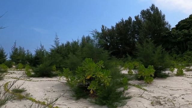 Bamboo Island Часть 3, 2023 смотреть онлайн
