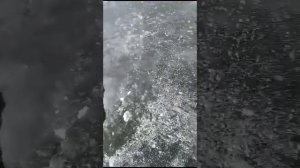 работа хапуги#как работает хапуга#как ловить хапугой#рыбалка на хапугу#