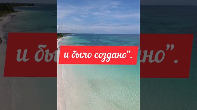 День добровольца. смотреть онлайн