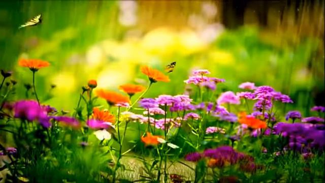 Ну вот и смерть Али Абдулсалимов смотреть онлайн