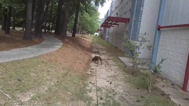 Hyde Trail To Air Scent and Back смотреть онлайн