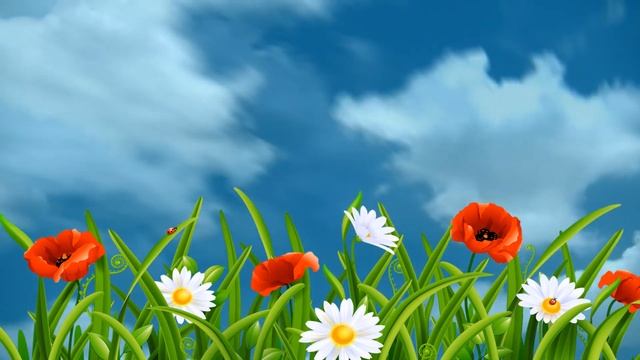 ФУТАЖ ВИДЕОФОН НЕБО И МАКИ ДЛЯ ВИДЕОМОНТАЖА !! смотреть онлайн