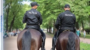 Всадники общественного порядка! Конный патруль полиции готовится выйти на улицы Донецка