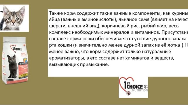 корм 1 st choice 2015 год ВИДЕО смотреть онлайн