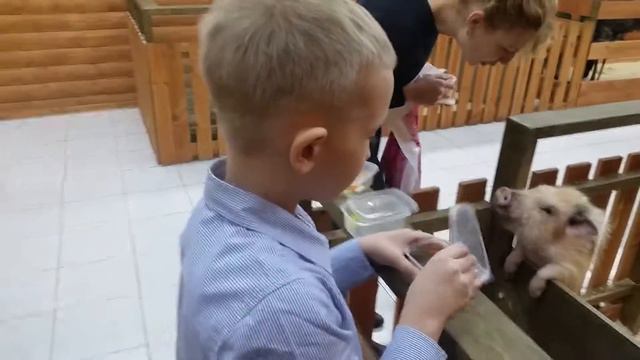 Трогательный зоопарк. SBS-мегамолл смотреть онлайн