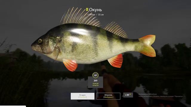 русская рыбалка 4 марафон смотреть онлайн