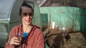 Ремонтируем теплицу после зимы с улыбкой