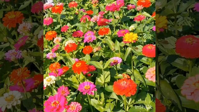 Медитация на раскрытие своих способностей, обретение веры в себя, любви к себе. смотреть онлайн