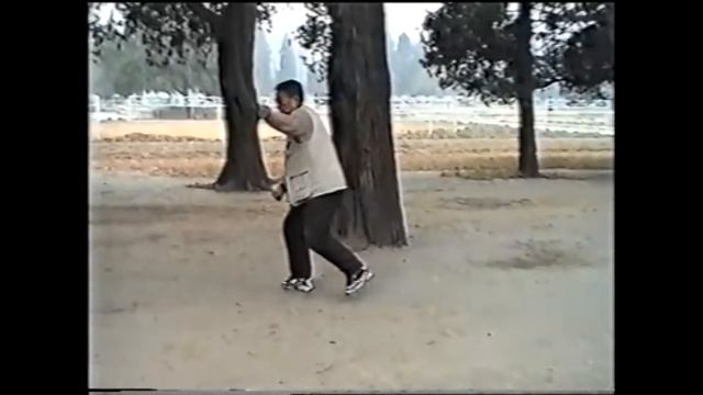 Тайцзицюань мастер По Шисюнь Синь цзя // HunYuan Taiji Chen Tai Chi