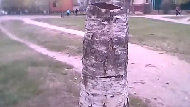 То чего не знают взрослые. смотреть онлайн