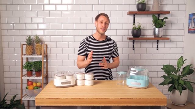 Luvele Pure Yogurt Maker Introduction SCD & GAPS Diet Friendly смотреть онлайн