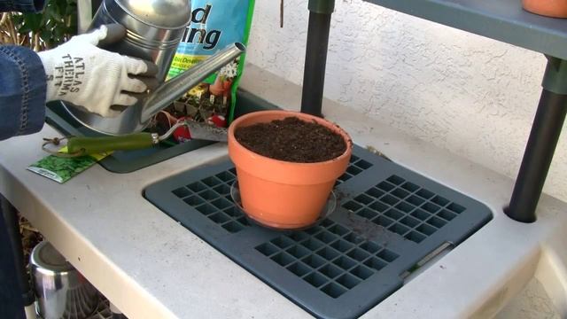 Four Season Garden #3: Starting Seeds смотреть онлайн