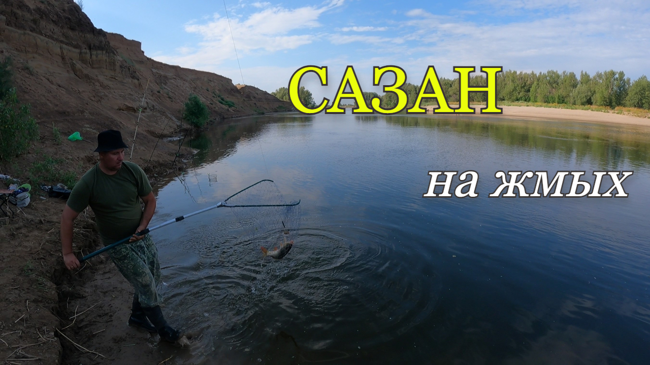 Ловим САЗАНА на жмых.Рыбалка с ночевкой в прилове СОМИК и несколько САЗАНОВ. смотреть онлайн